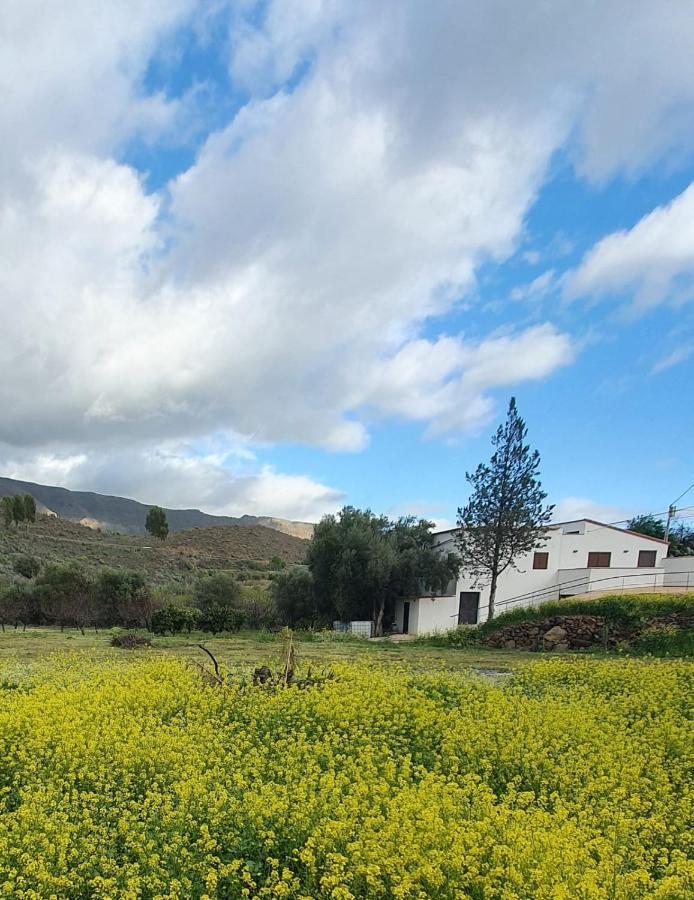 Casa Hoya Grande Villa San Bartolomé Dış mekan fotoğraf