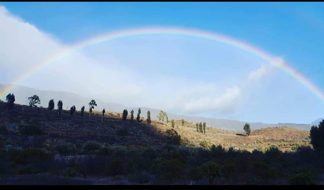 Casa Hoya Grande Villa San Bartolomé Dış mekan fotoğraf